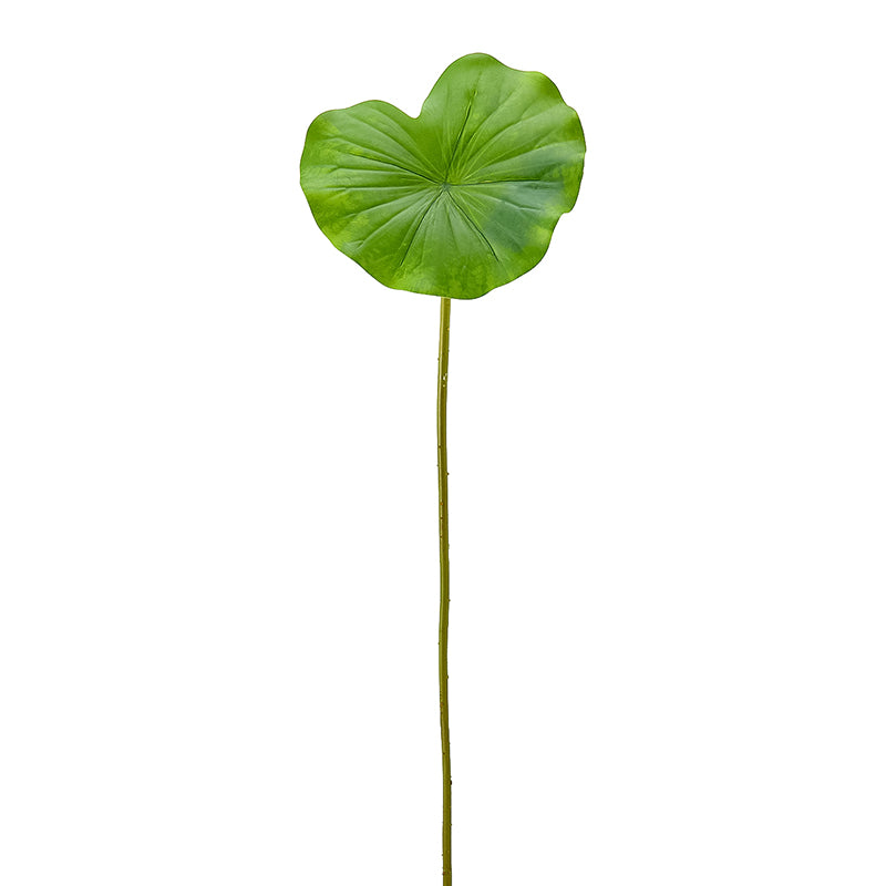 Hoja de Loto