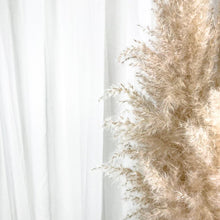Cargar imagen en el visor de la galería, Pampas Holandesas (Beige)
