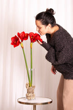 Cargar imagen en el visor de la galería, Amaryllis Artificiales
