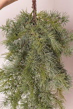 Cargar imagen en el visor de la galería, Web Decoco Producto Navidad Casacada Cedro 2
