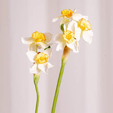 Cargar imagen en el visor de la galería, Web Decoco Producto Narciso Blanco 2
