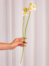 Cargar imagen en el visor de la galería, Web Decoco Producto Narciso Blanco
