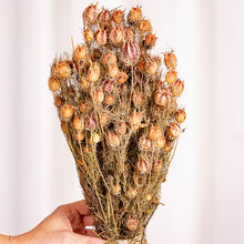 Cargar imagen en el visor de la galería, Web Decoco Producto Nigela Natural 2
