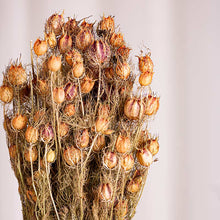Cargar imagen en el visor de la galería, Web Decoco Producto Nigela Natural 3
