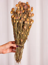 Cargar imagen en el visor de la galería, Web Decoco Producto Nigela Natural
