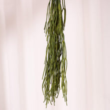 Cargar imagen en el visor de la galería, Web Decoco Producto Planta Alga Verde 3
