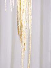 Cargar imagen en el visor de la galería, Web Decoco Producto Preservadas Amaranthus Blanco 6
