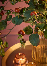 Cargar imagen en el visor de la galería, Web Decoco Producto Rosa Canina 1
