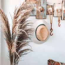Cargar imagen en el visor de la galería, Pampas Long Hair
