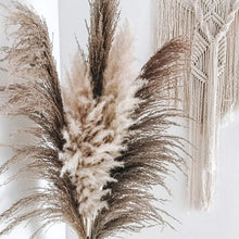 Cargar imagen en el visor de la galería, Pampas Patri White House
